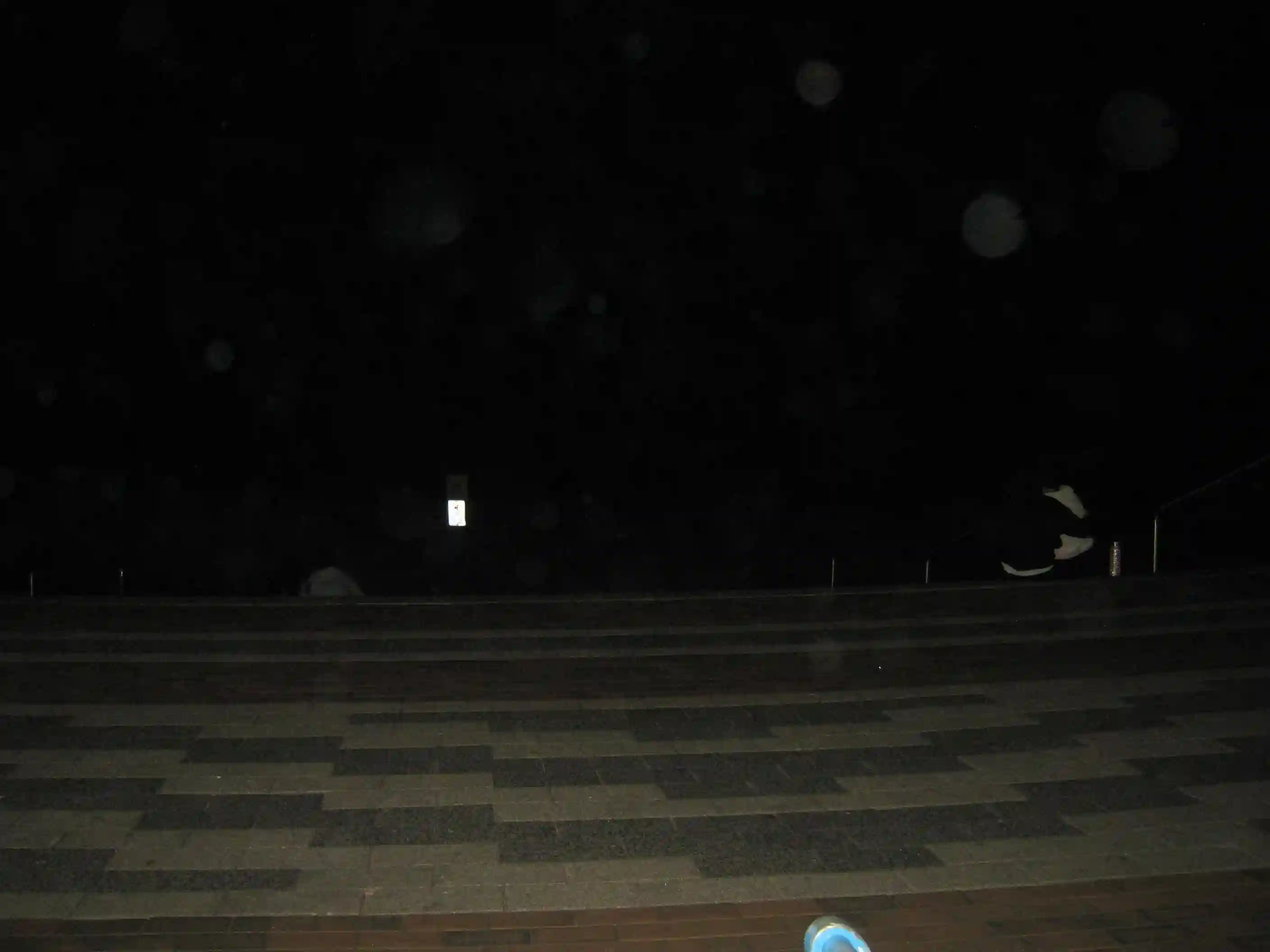 People on the beach at night.