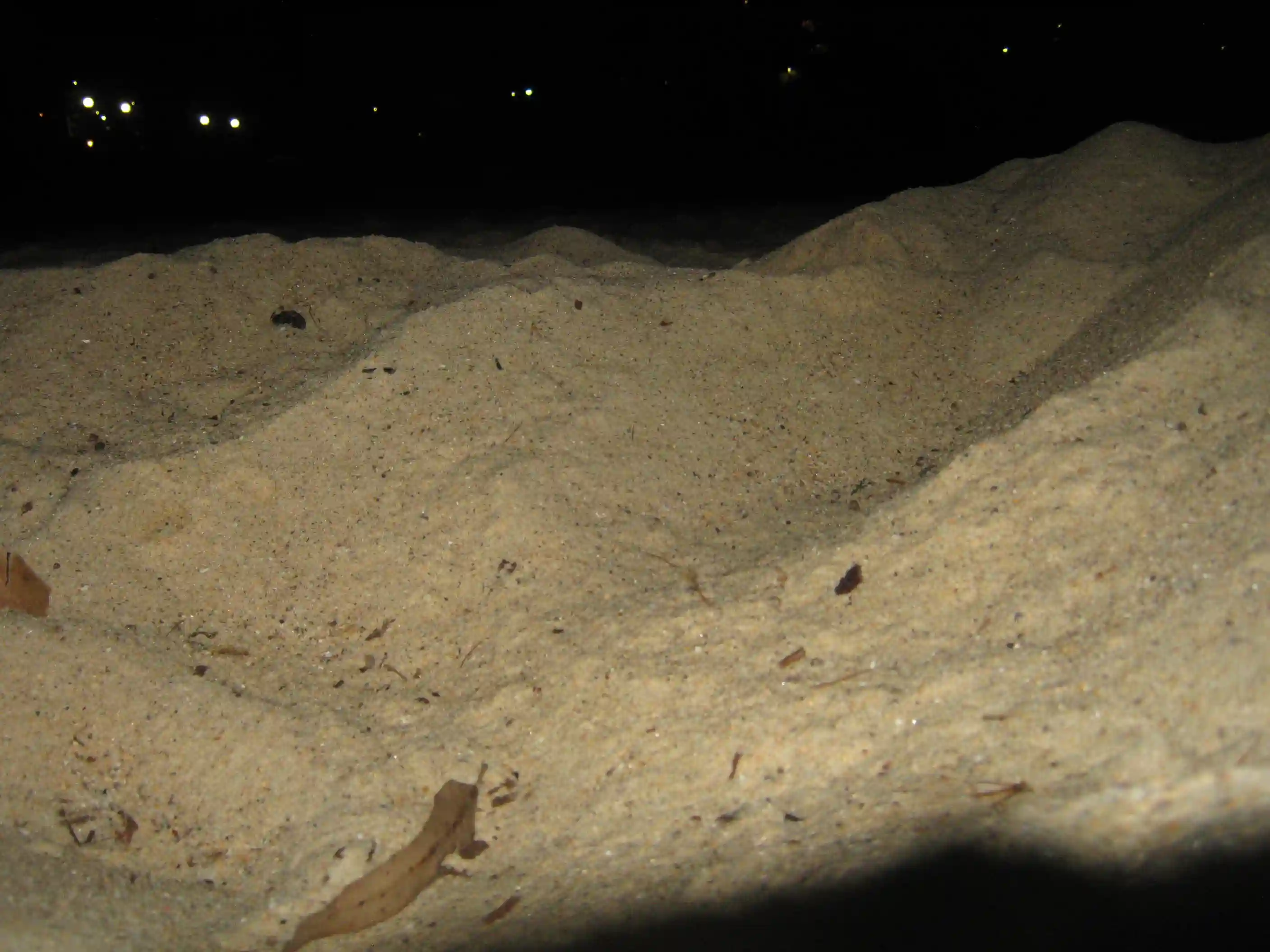 Sand on the beach.