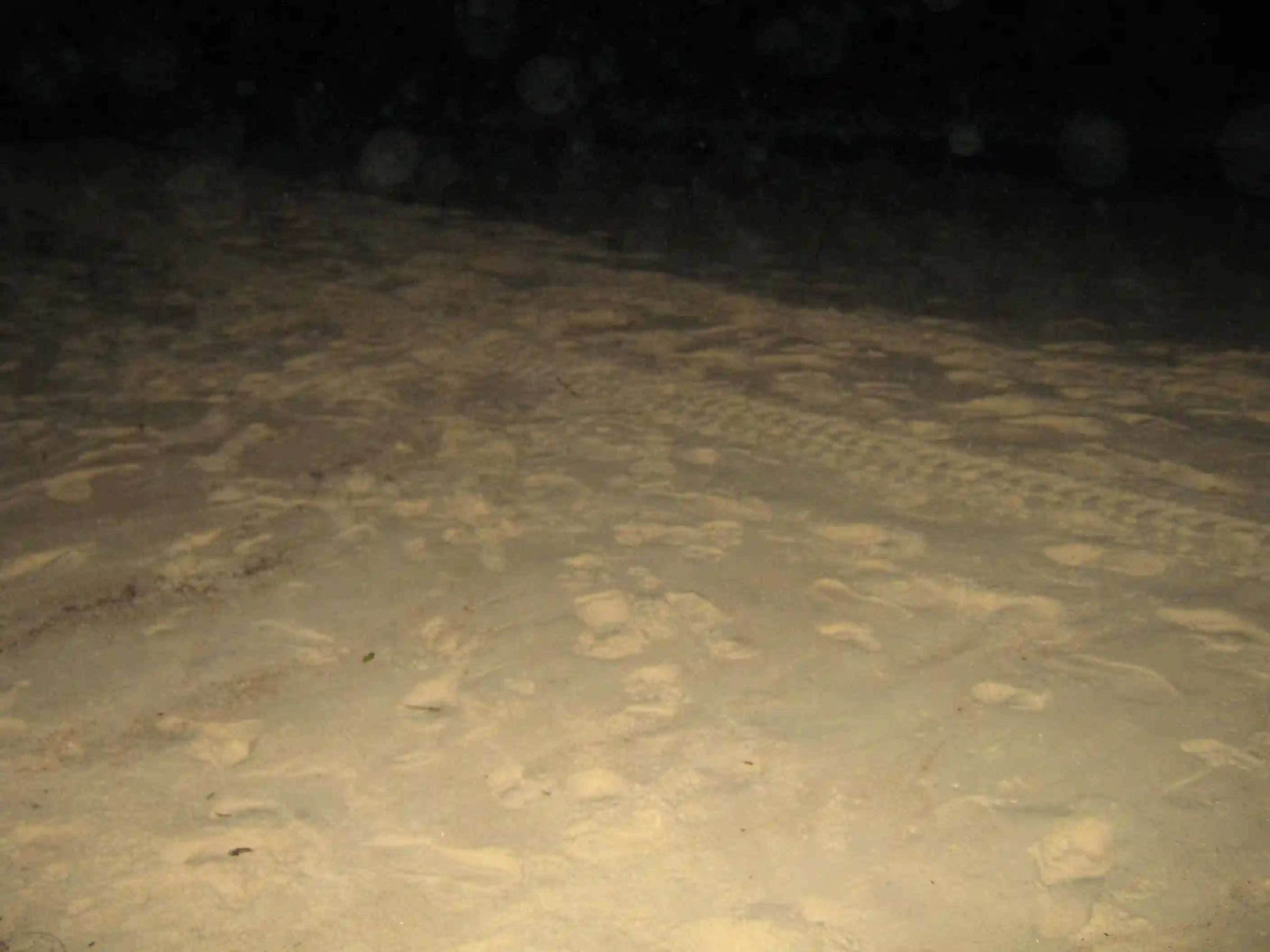Sand on the beach.