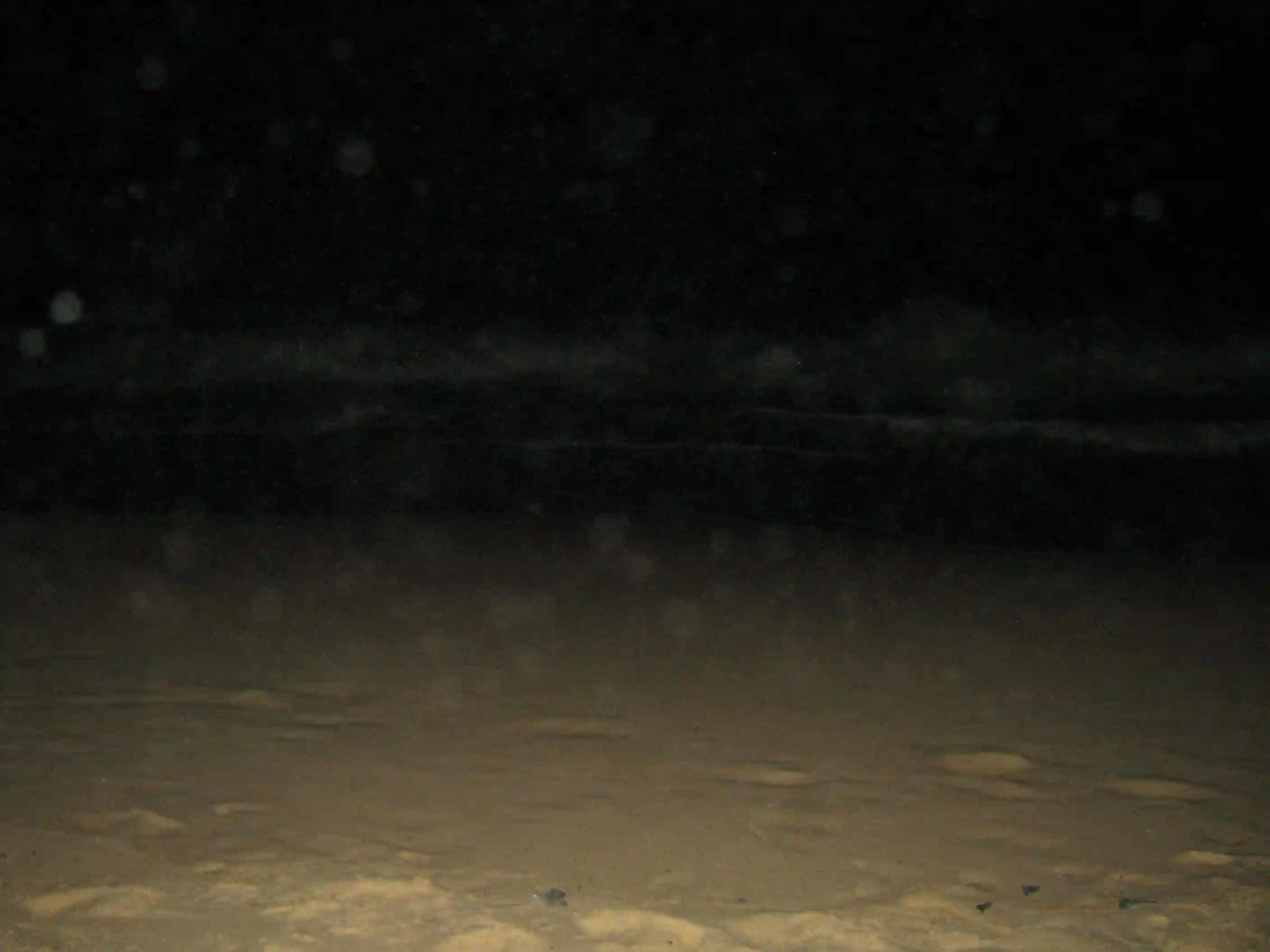 Sand on the beach.