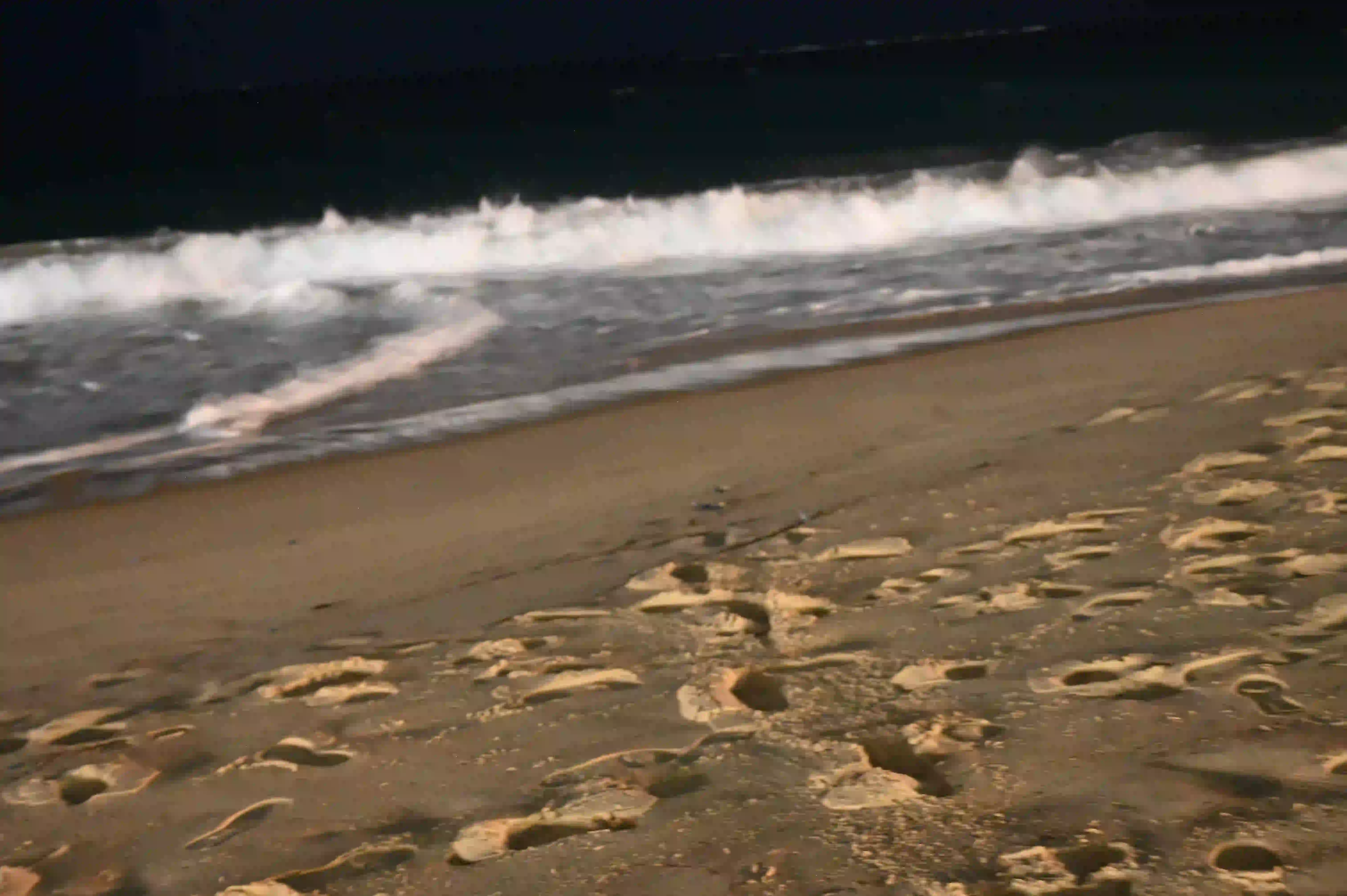 Sand.