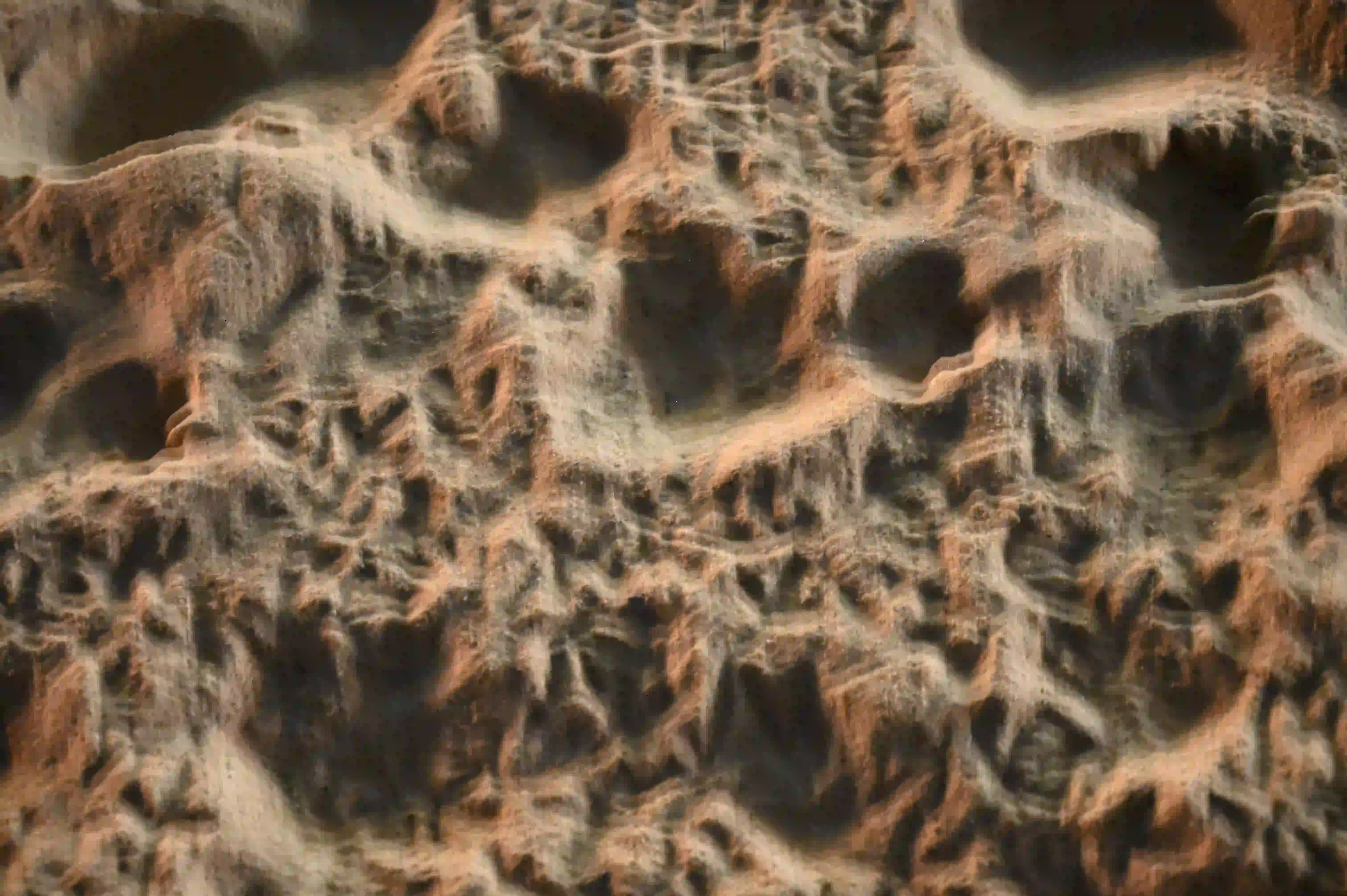 Sand.